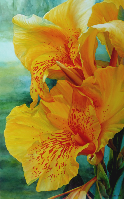 Yellow Canna, 39 x 24 inches